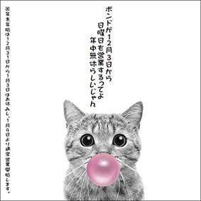 フード画像